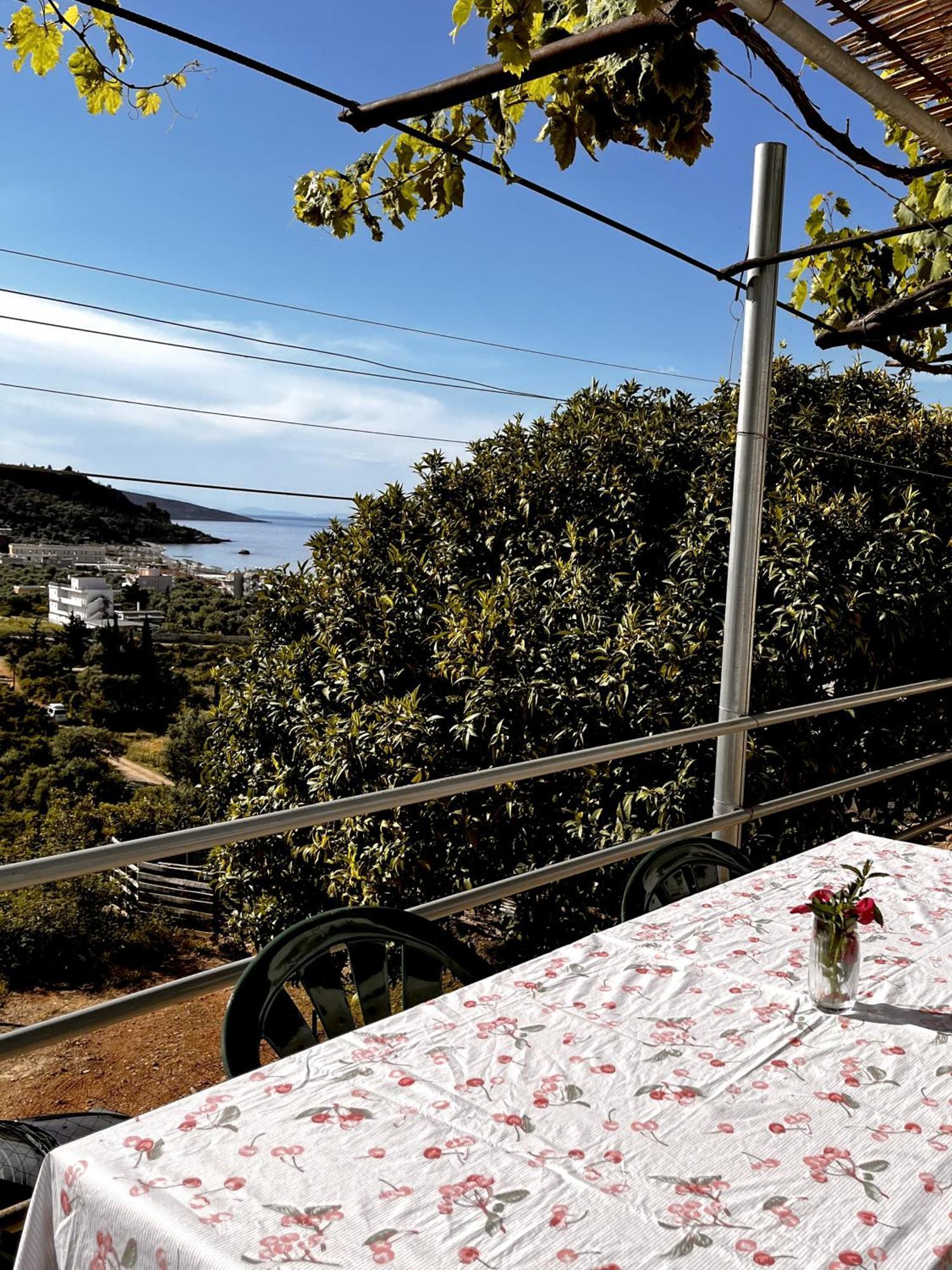 Sea Horizon House Alexis Hotel Himare Exterior photo